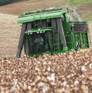 Agriculture